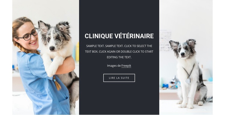 Services vétérinaires Maquette de site Web