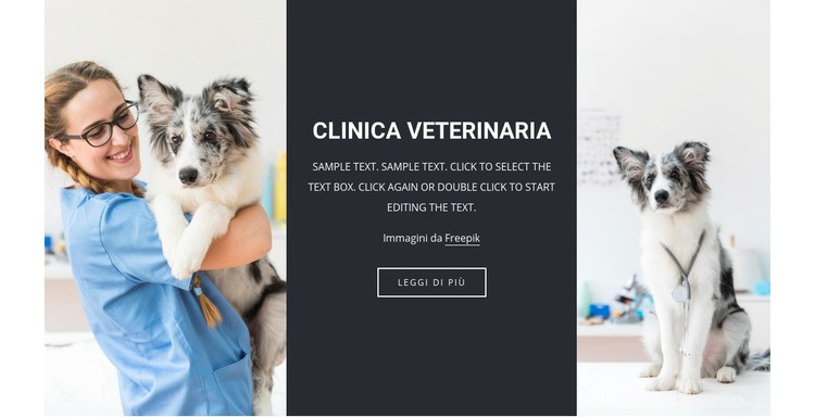 Servizi veterinari Modelli di Website Builder