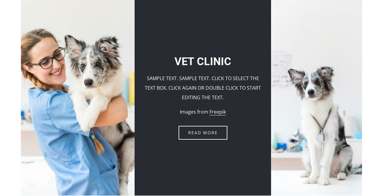 Veterinary services One Page Template