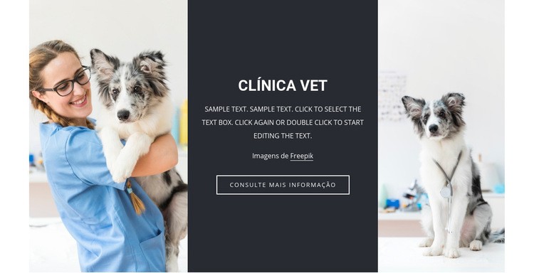 Serviços veterinários Design do site