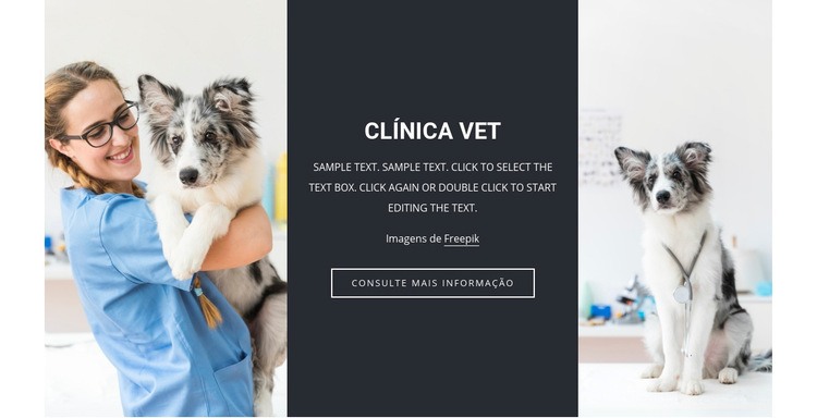 Serviços veterinários Maquete do site
