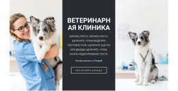 Шаблон HTML5 Ветеринарные Услуги Для Любого Устройства