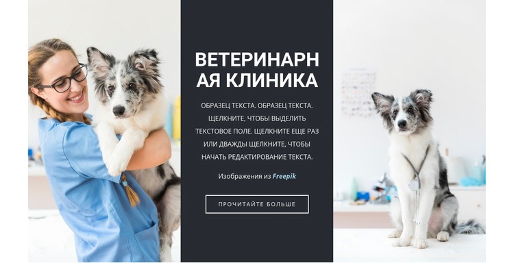 Ветеринарные услуги Мокап веб-сайта