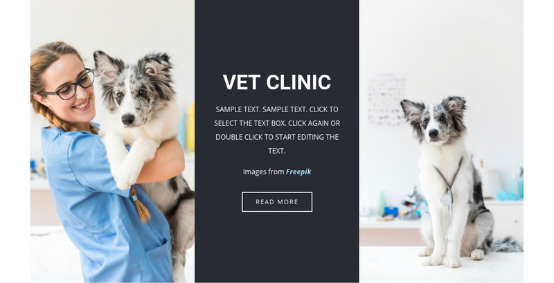 Veterinary services Squarespace Template Alternative
