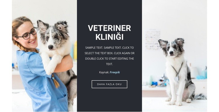 Veterinerlik hizmetleri HTML5 Şablonu