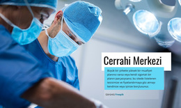 Survery Merkezi - WordPress Ve WooCommerce Teması