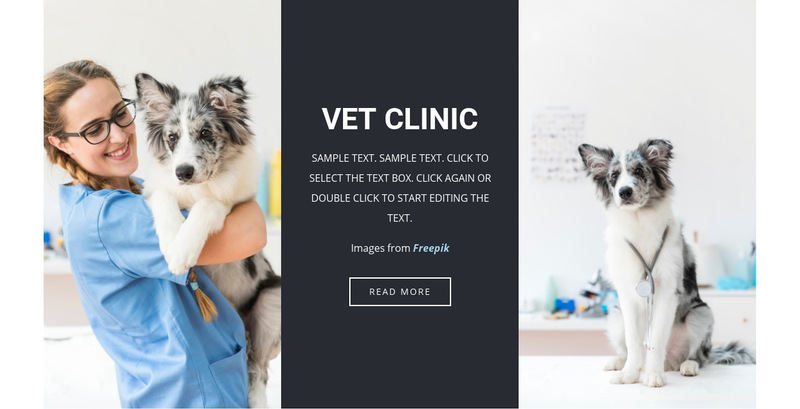 Veterinary services Wix Template Alternative