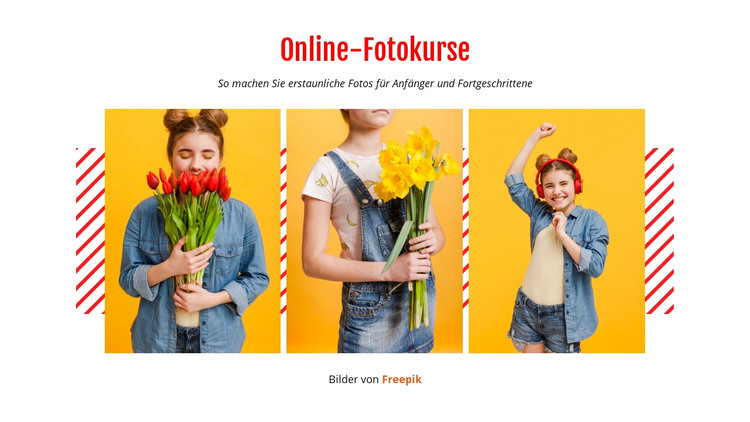 Online-Fotokurse HTML-Vorlage