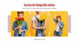 Cursos De Fotografía Online: Creador De Sitios Web Fácil De Usar