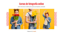 Cursos De Fotografía Online - Plantilla Gratuita