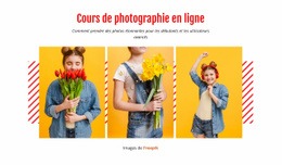 Superbe Conception Web Pour Cours De Photographie En Ligne