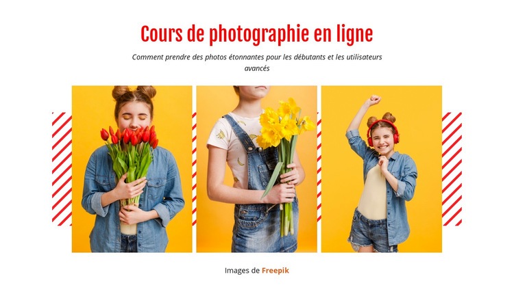 Cours de photographie en ligne Maquette de site Web