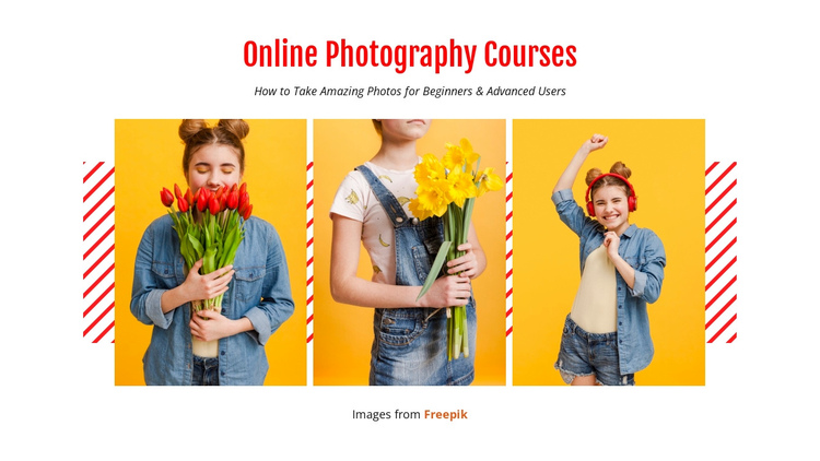 Online Photography Courses One Page Template