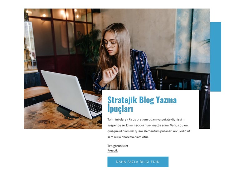 Stratejik blog ipuçları CSS Şablonu
