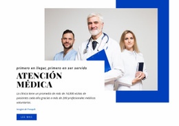 Las Funciones De La Atención Médica Plantilla Html Básica Con CSS
