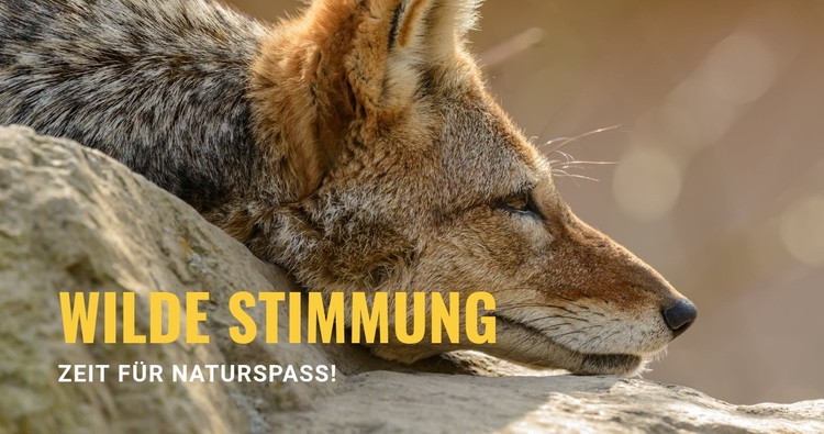 Wilde Stimmung CSS-Vorlage