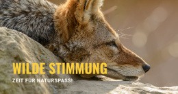 Wilde Stimmung - Anpassbares, Professionelles Website-Modell