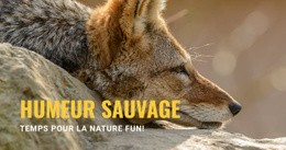 Créez Votre Propre Site Web Pour Humeur Sauvage