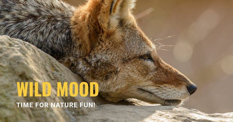 Wild mood Homepage Design