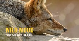 Wild Mood - Website Builder Software For Any Device