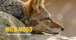 Ready To Use Site Design For Wild Mood