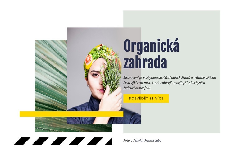 Organická zahrada Šablona CSS