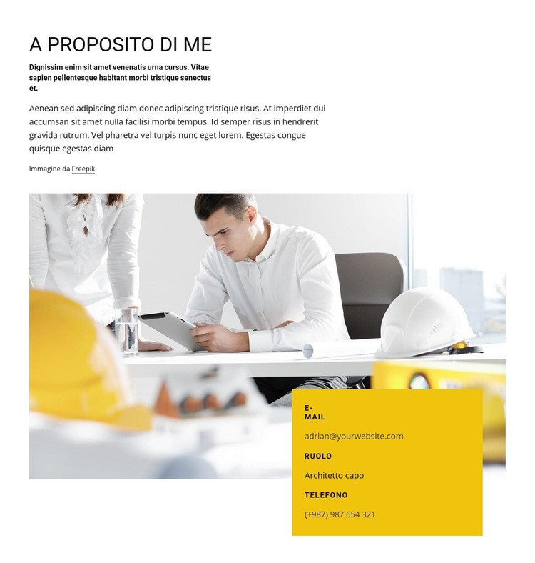 Profilo professionale dell'architetto Costruttore di siti web HTML
