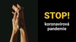 Vstupní Stránka Pro Koronavirová Pandemie