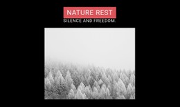CSS Grid Template Column For Nature Rest