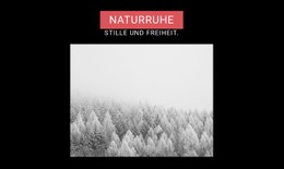 CSS-Rastervorlagenspalte Für Naturruhe