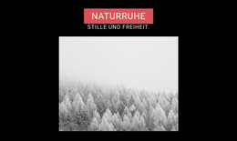 Kreativstes WordPress-Theme Für Naturruhe