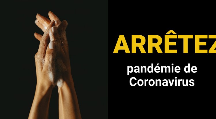 Pandémie de Coronavirus Maquette de site Web
