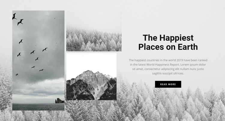 The happiest places Homepage Design