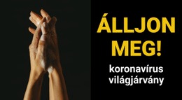 Céloldal A Következőhöz: Koronavírus Világjárvány