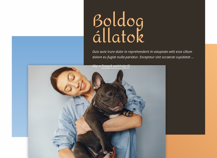 Oktatás kis kutyáknak Weboldal tervezés