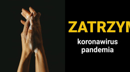 Koronawirus Pandemia - Responsywny Szablon Strony Internetowej