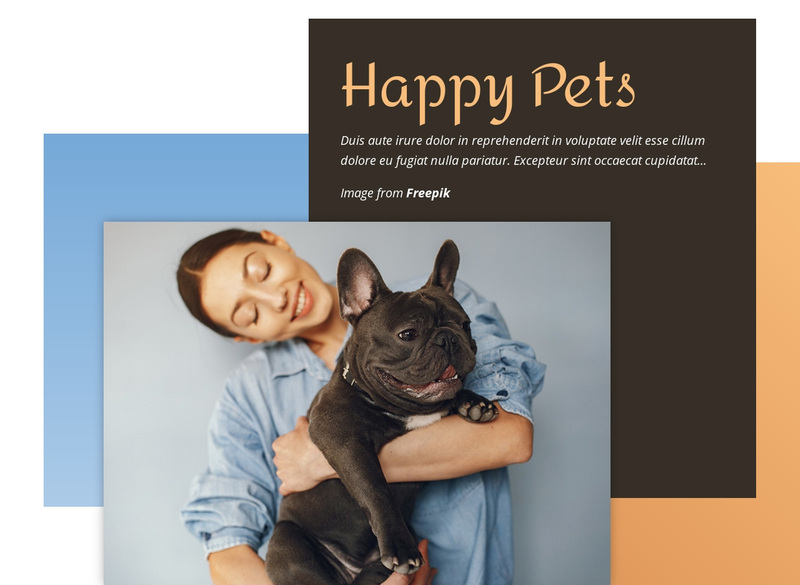 Training for small dogs Squarespace Template Alternative