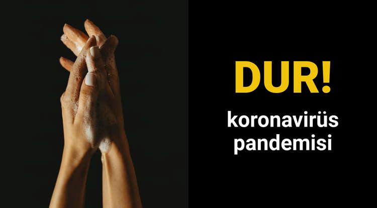 Koronavirüs pandemisi Joomla Şablonu