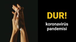 Koronavirüs Pandemisi Için Çarpıcı Web Tasarımı