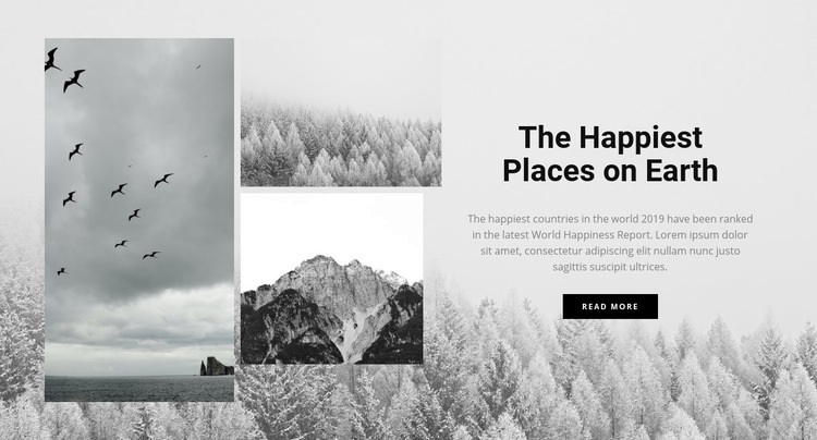 The happiest places Webflow Template Alternative