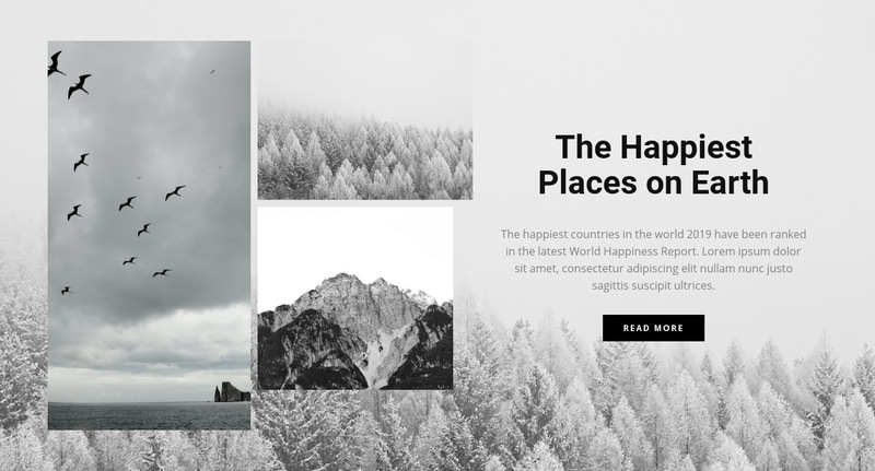 The happiest places Wix Template Alternative
