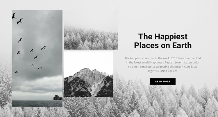 The happiest places WordPress Website Builder
