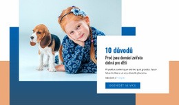 Domácí Mazlíčci A Děti – Bezplatná HTML Šablona