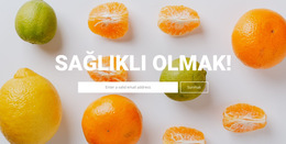Sağlıklı Olmak - Web Sayfası Şablonu