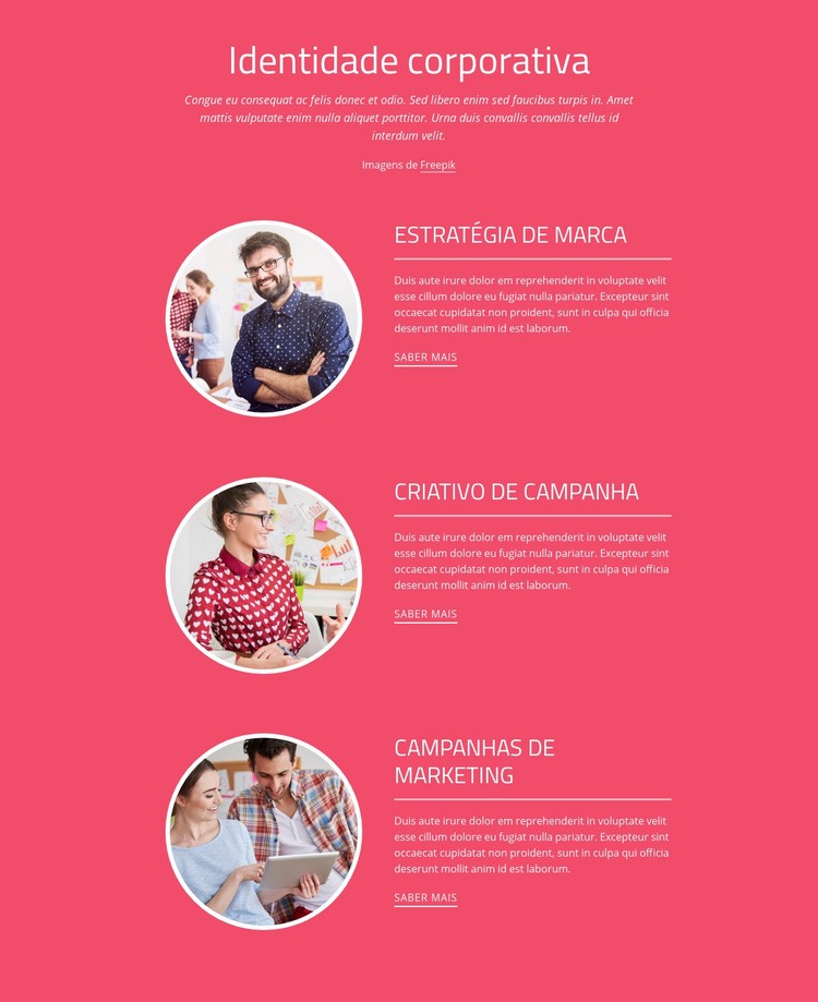 Proposta única de venda Landing Page