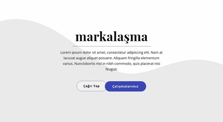 İki düğmeli metin Web sitesi tasarımı