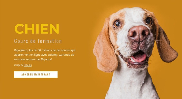 Comment dresser votre chien Conception de site Web
