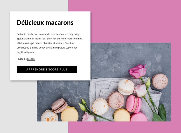 Délicieux macarons Maquette de site Web
