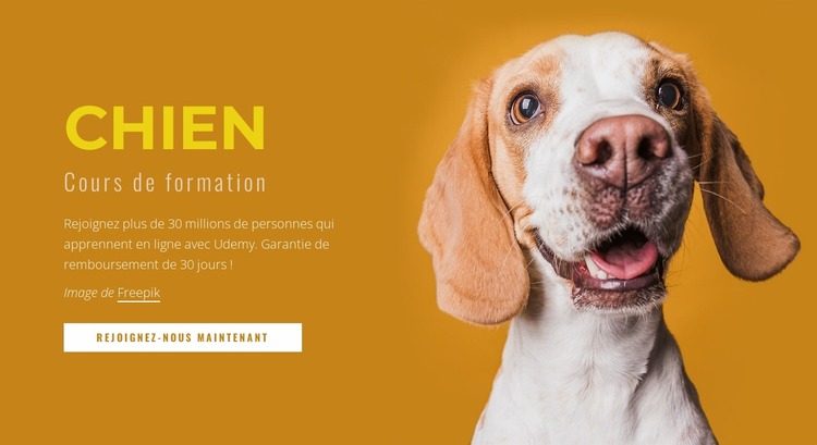 Comment dresser votre chien Modèle Joomla