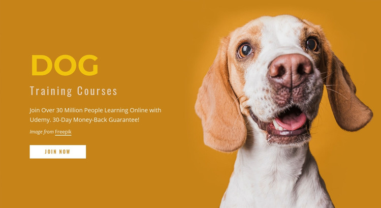 How to train your dog Homepage Design